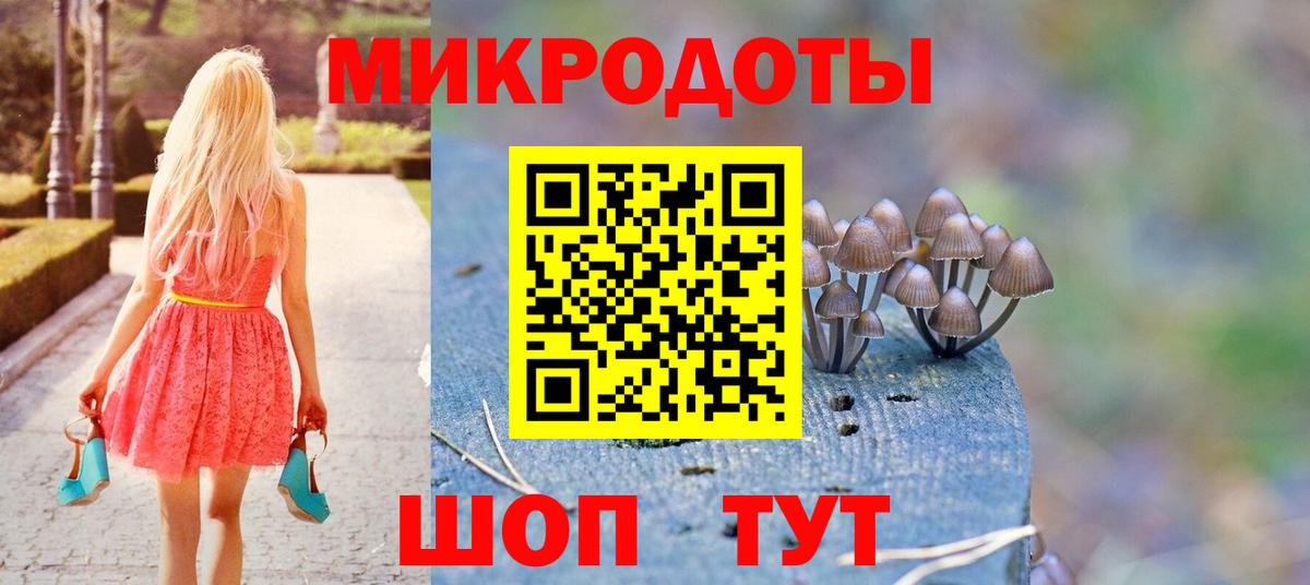 Псилоцибиновые грибы Psilocybe  Вход с VPN  Галлюциногенные грибы прущие грибы  Грязи 