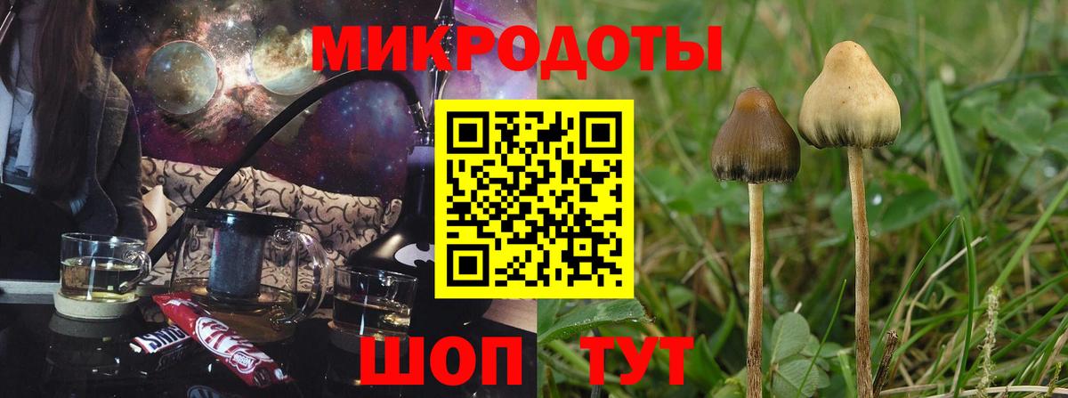Галлюциногенные грибы Psilocybine cubensis Грязи