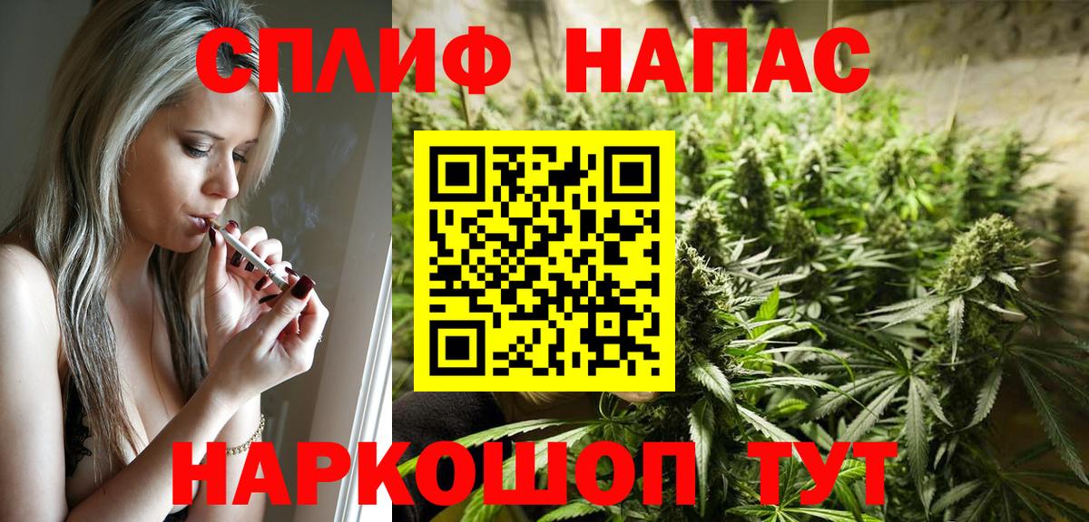 Марихуана план  Канабис гибрид  Грязи  Шишки марихуана OG Kush  Шишки марихуана MAZAR  Вход с VPN 